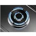������ �� ���  Zanussi ZGH76534XS ����� ����� ����� �����
