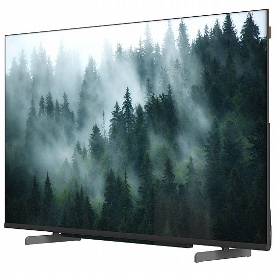 �������� ���� 55" Metz DLED 4K �� 55MQE8600 ����� ����� �����