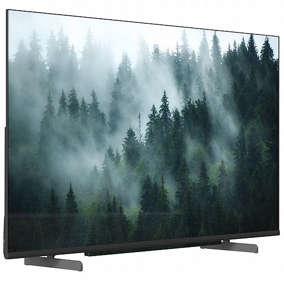 �������� ���� 55" Metz DLED 4K �� 55MQE8600 ����� ����� �����
