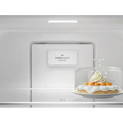 ���� ����� ����� 501 ���� ELECTROLUX EBE5002C-B ���������� ���� �� �������� ����� �����